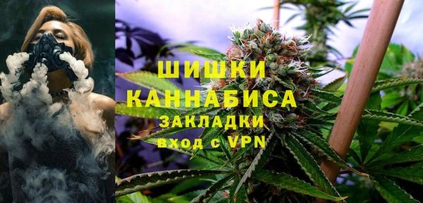 сатива Михайлов