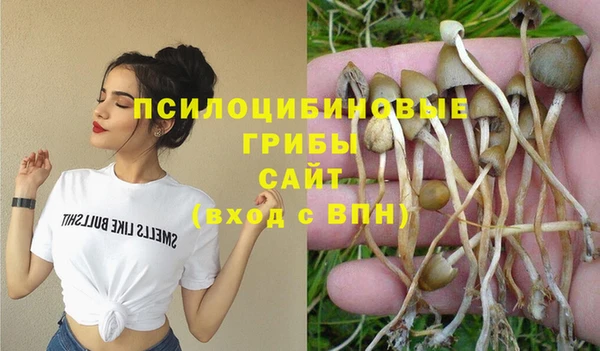 сатива Михайлов
