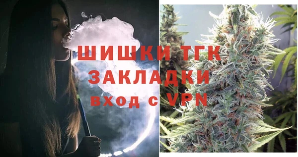 сатива Михайлов