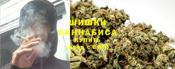 сатива Михайлов